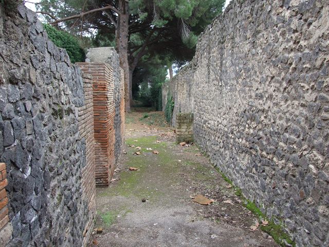 II.8.6, rear wall, Pompeii. December 2006. Eschebach identified a street altar in this vicinity.
