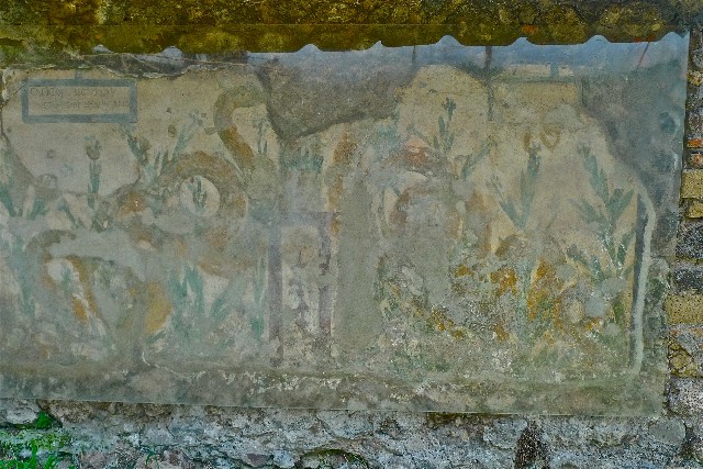 Inscription painted on Lararium at V.6.19
�Cacator sic valeas ut tu hoc locum trase(s)�
