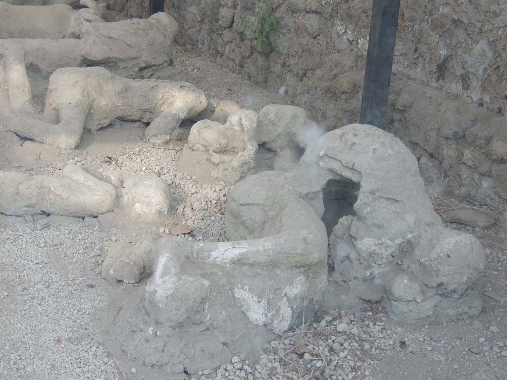 I.21.6 Pompeii. December 2007. Plaster casts of bodies. Victim 38 at front.