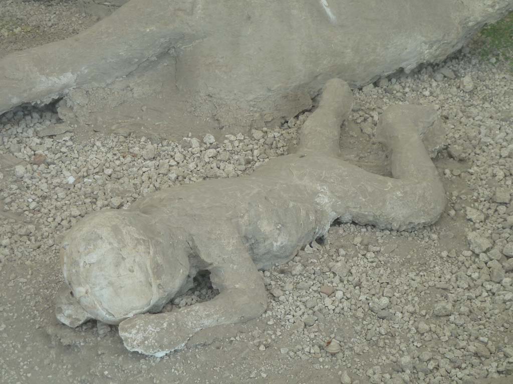 I.21.6 Pompeii. May 2010. Detail of a plaster cast of impression of a body. Victim 40.