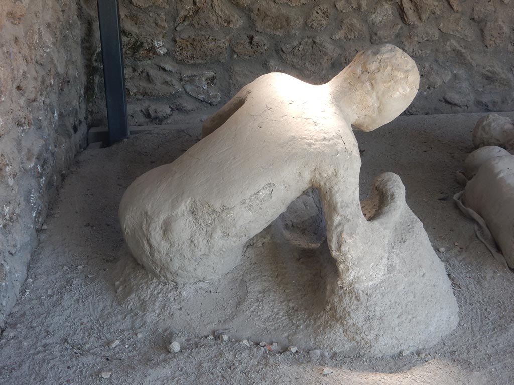 I.21.6 Pompeii. May 2016. Rear view of plaster cast of Victim 43. Photo courtesy of Buzz Ferebee.