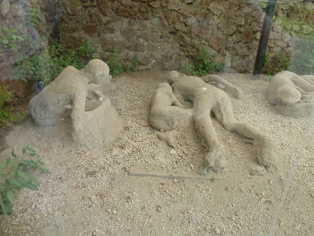 I.21.6 Pompeii. May 2010. Plaster casts of bodies. Left to right, Victim 43, victim 44 and victim 45.