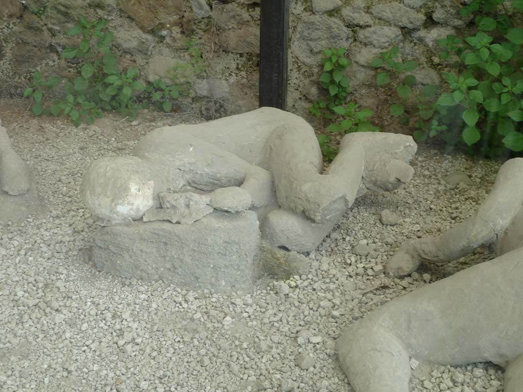I.21.6 Pompeii. May 2010. Detail of a plaster cast of victim 46.