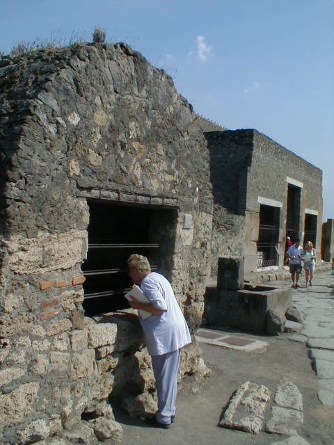 Fountain at VI.1.19