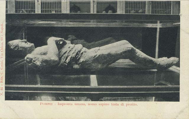 VII.9.7 and VII.9.8 Pompeii. July 2011. Plaster cast on display in Macellum. Known as victim no.14, this victim was also recovered near the Stabian Gate on 11th October 1889. See Garcia y Garcia, L., 2006. Danni di guerra a Pompei. Rome: L’Erma di Bretschneider. (p. 193-4, Figg. 451-3). According to Dwyer, described as victim no. 15, this plaster cast was a woman of mature age. She had been found laying face down on her stomach and half-clothed, her arms stretched before her. See Dwyer, E., 2010. Pompeii’s Living Statues. Univ. of Michigan Press: (p.106-7)