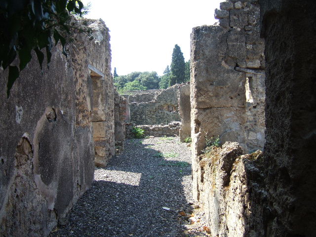 I.3.25 looking north east, across garden area towards exedra