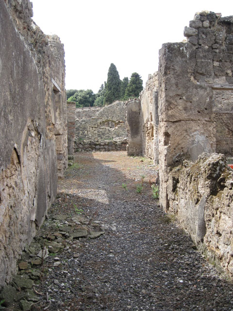 I.3.25 Casa dei Guerrieri, corridor along south side of pseudoperistyle/garden