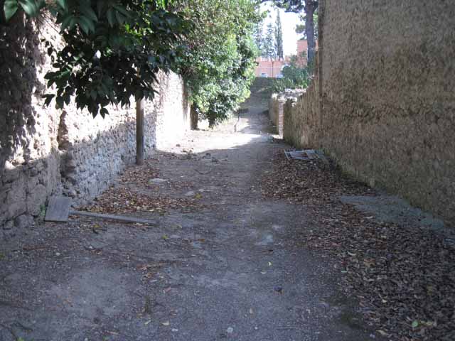 I.25 Pompeii,unexcavated. September 2005. Vicolo looking south. I.5.3 and side wall of I.5.2