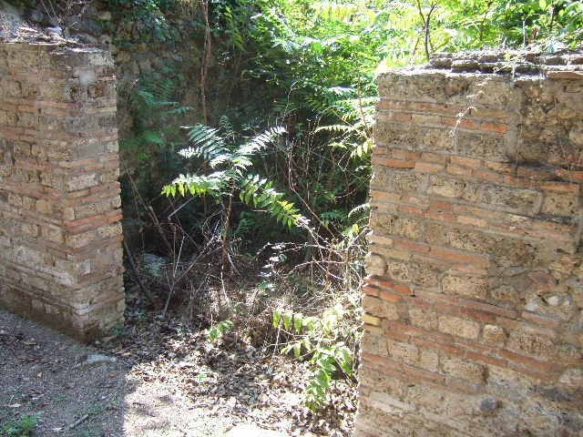 I.5.3 Pompeii. September 2010. Looking north across large area. Photo courtesy of Drew Baker.