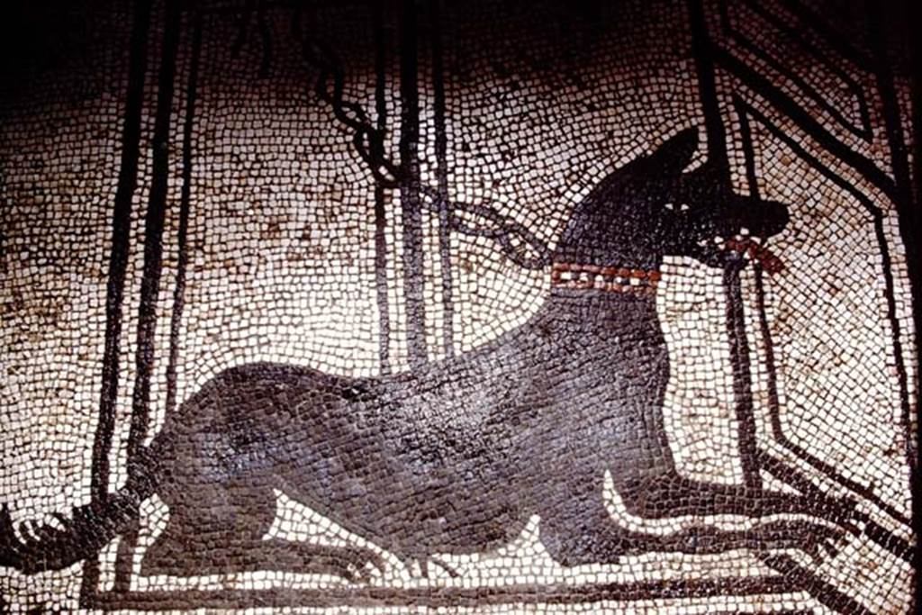 I.7.1 Pompeii, 1978. Entrance mosaic of a guard dog. Photo by Stanley A. Jashemski.   
Source: The Wilhelmina and Stanley A. Jashemski archive in the University of Maryland Library, Special Collections (See collection page) and made available under the Creative Commons Attribution-Non Commercial License v.4. See Licence and use details. J78f0633
