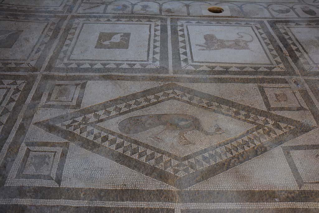 I.7.1 Pompeii. October 2019. Detail of mosaic bird from centre of atrium at north end.
Foto Annette Haug, ERC Grant 681269 DCOR.

