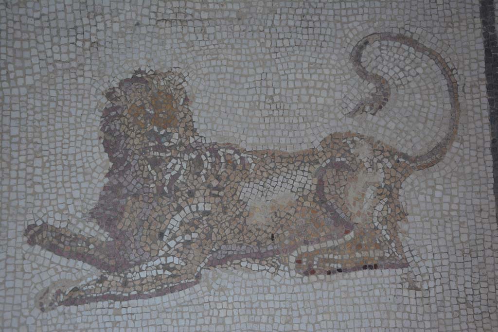 I.7.1 Pompeii. October 2019. Detail of lion from mosaic floor in atrium.
Foto Annette Haug, ERC Grant 681269 DCOR.
