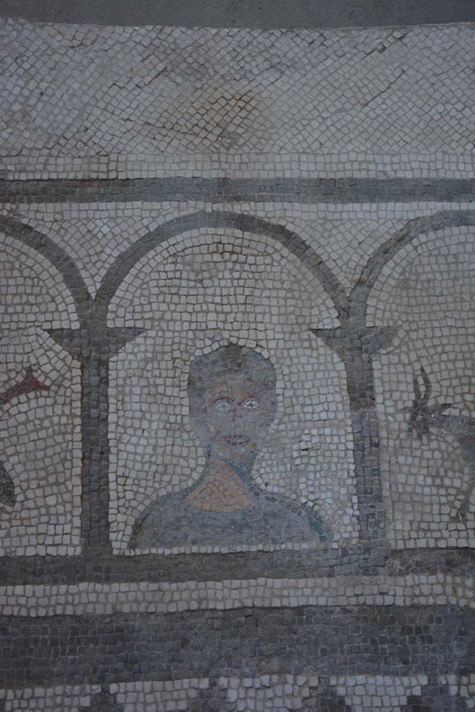 I.7.1 Pompeii. October 2019. Detail from east side of impluvium.
Foto Annette Haug, ERC Grant 681269 DCOR.
