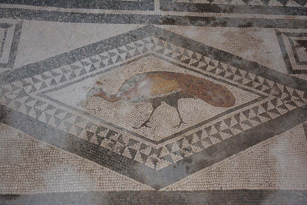 I.7.1 Pompeii. October 2019. Detail of mosaic bird from centre of south end of mosaic in atrium.
Foto Annette Haug, ERC Grant 681269 DCOR.
