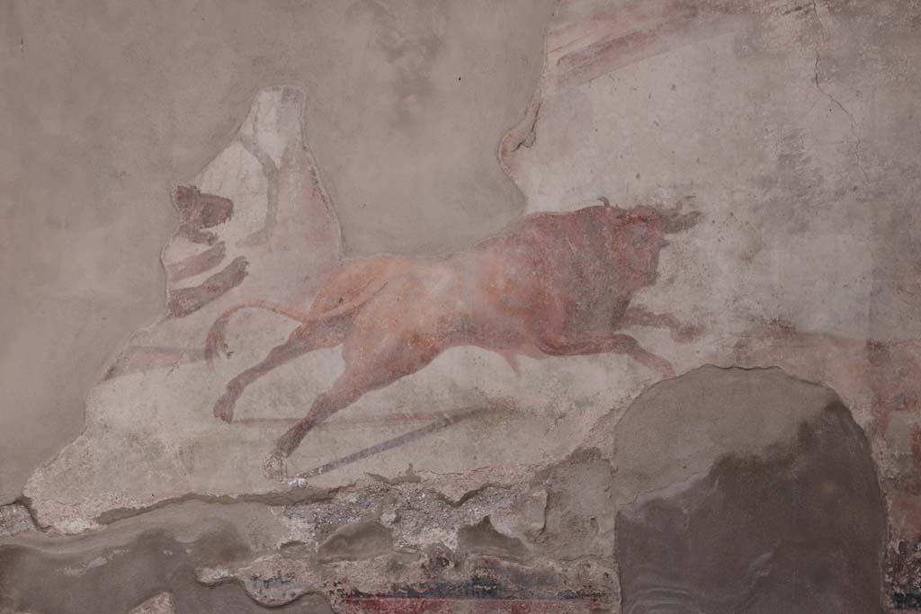 I.7.12 Pompeii. September 2021. Detail of bull and bear wall painting from south wall of garden area. Photo courtesy of Klaus Heese.