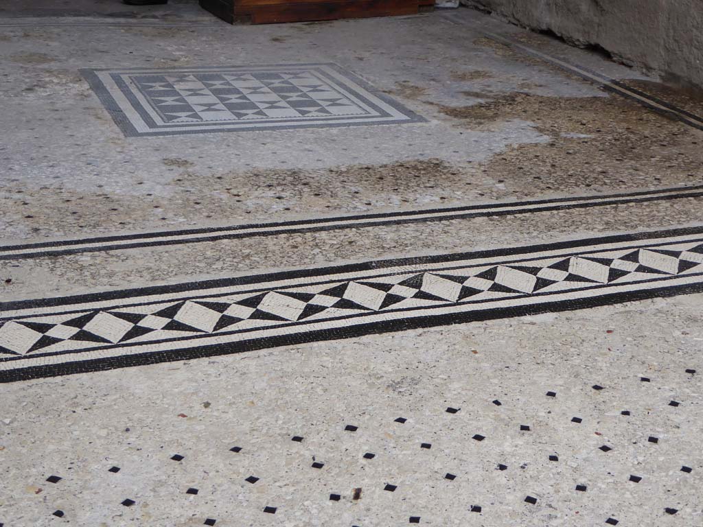 I.9.5 Pompeii. January 2017. Room 8, looking south across mosaic doorway threshold and flooring in tablinum, from atrium flooring. 
Foto Annette Haug, ERC Grant 681269 DÉCOR.
