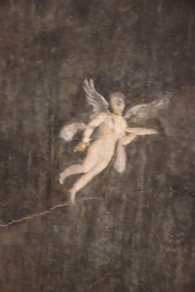 I.9.5 Pompeii. October 2022. 
Room 10, detail of flying figure from east wall at north end. Photo courtesy of Klaus Heese.

