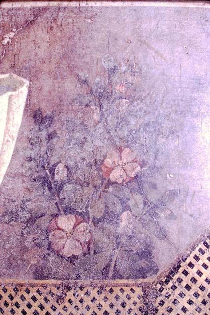 1.9.5 Pompeii. 1966. 
Room 11, detail of painted flowers from east wall at north end. Photo by Stanley A. Jashemski.
Source: The Wilhelmina and Stanley A. Jashemski archive in the University of Maryland Library, Special Collections (See collection page) and made available under the Creative Commons Attribution-Non-Commercial License v.4. See Licence and use details.
J66f0711

