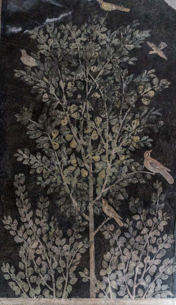 I.9.5 Pompeii. April 2022. 
Room 11, upper painted panel of birds in tree from south wall in south-east corner.
Photo courtesy of Johannes Eber.
