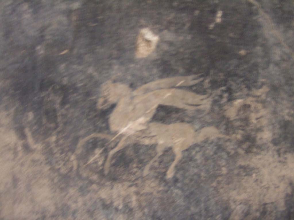 I.10.4 Pompeii. May 2006. Room 17, detail of flying horse from panel on west wall.