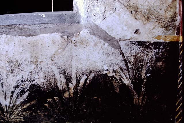 I.11.16 Pompeii. December 2007. Doorway to room 6.