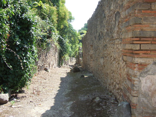 I.2.22 Pompeii. September 2010. Detail of the other end of the arch, tunnel or corridor, terminating at junction of unexcavated roadway? . Photo courtesy of Drew Baker