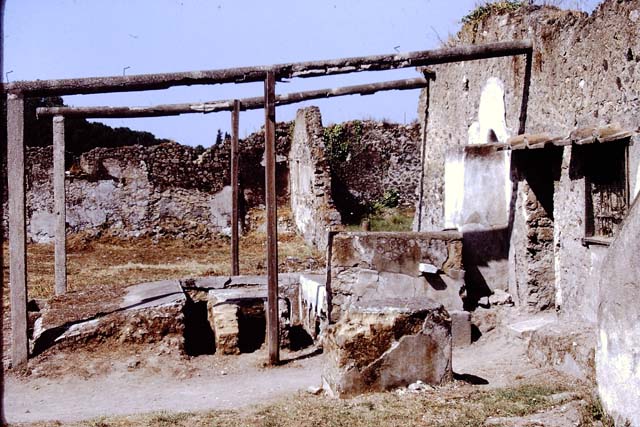 I.20.1 Pompeii. November 2009. Looking north across the vineyard of the Inn of the Gladiators. Photo courtesy of Rick Bauer.