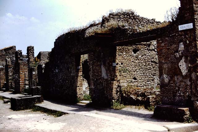 II.1.1 Pompeii. December 2006. East wall with display shelves in north-east corner. When excavated parts of the conserved base of the east and west wall showed painted stucco with red droplets. On the surviving part of the east wall, painted decoration - including panels painted with yellow lines of small leaves on a red background - could be seen.
See Notizie di Scavi, 1917, (p.251)