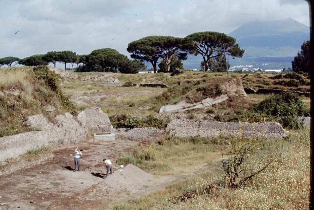 II.5 Pompeii, 1968. Looking north-west across site, on the other side of the stone boundary wall is the Via dellAbbondanza, and III.7. Photo by Stanley A. Jashemski.
Source: The Wilhelmina and Stanley A. Jashemski archive in the University of Maryland Library, Special Collections (See collection page) and made available under the Creative Commons Attribution-Non Commercial License v.4. See Licence and use details.
J68f0851
