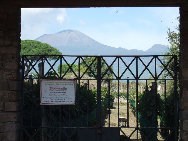 II.5.5 Pompeii. September 2005. View of building where wine was made, South wall.
