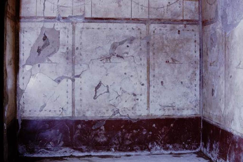 III.2.1 Pompeii. 1968. Room 5, west wall of ala.
Photo by Stanley A. Jashemski.
Source: The Wilhelmina and Stanley A. Jashemski archive in the University of Maryland Library, Special Collections (See collection page) and made available under the Creative Commons Attribution-Non Commercial License v.4. See Licence and use details.
J68f0398
