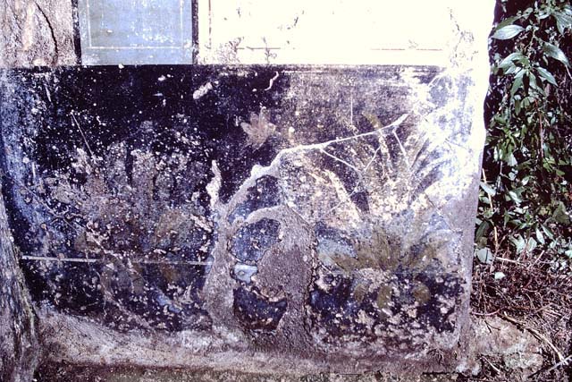 III.2.1 Pompeii.  March 2009.  Room 20. Summer Triclinium.  North wall with remains of painted plants, and painted wall of red, yellow and blue squares.