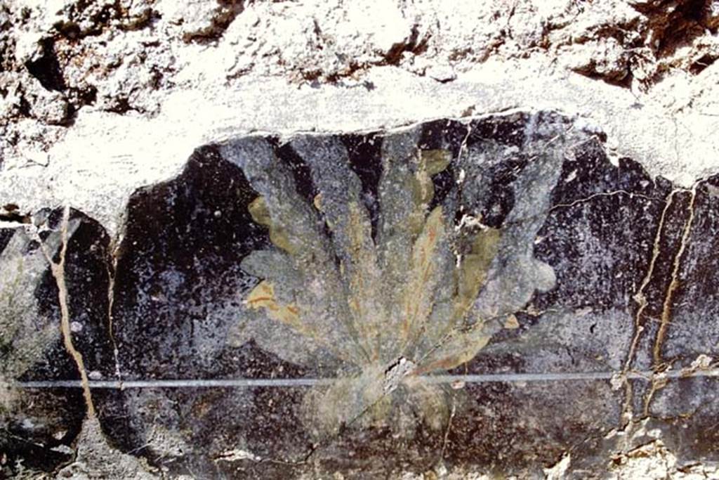 III.2.1 Pompeii. 1968. Room 20, painted clump of a plant from east portico. Photo by Stanley A. Jashemski.
Source: The Wilhelmina and Stanley A. Jashemski archive in the University of Maryland Library, Special Collections (See collection page) and made available under the Creative Commons Attribution-Non Commercial License v.4. See Licence and use details.
J68f1742
