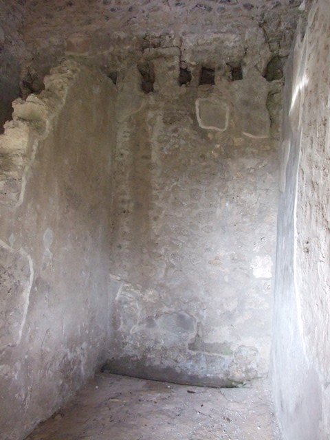 III.4.b Pompeii. March 2009. Room 3, west wall of oecus with wall painting of a running man.