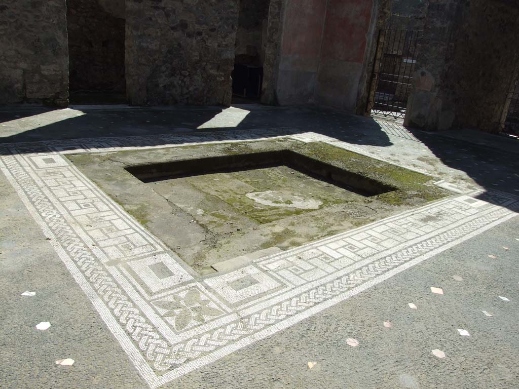 V.1.26 Pompeii. March 2009. Room “b”, mosaic edge around impluvium in atrium. Looking south-west.