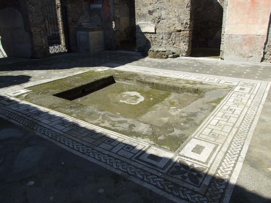 V.1.26 Pompeii. March 2009. Room “b”, mosaic edge around impluvium in atrium. Looking north-west.