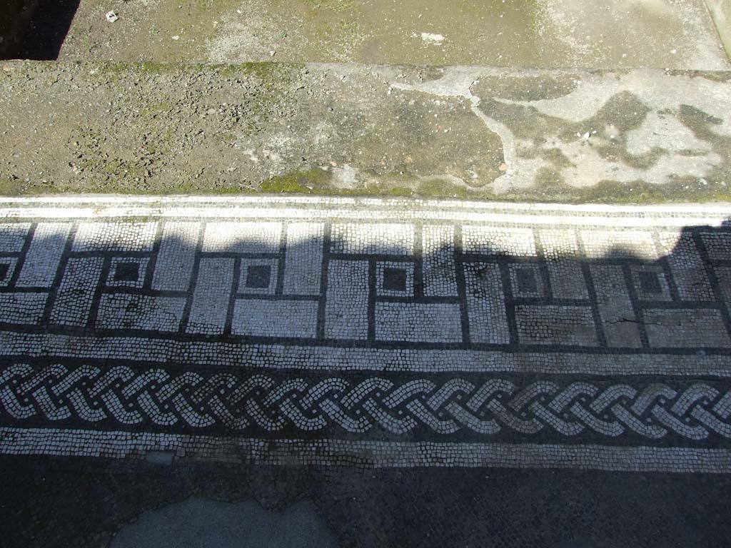V.1.26 Pompeii. March 2009. Room “b”, mosaic edge around impluvium.
