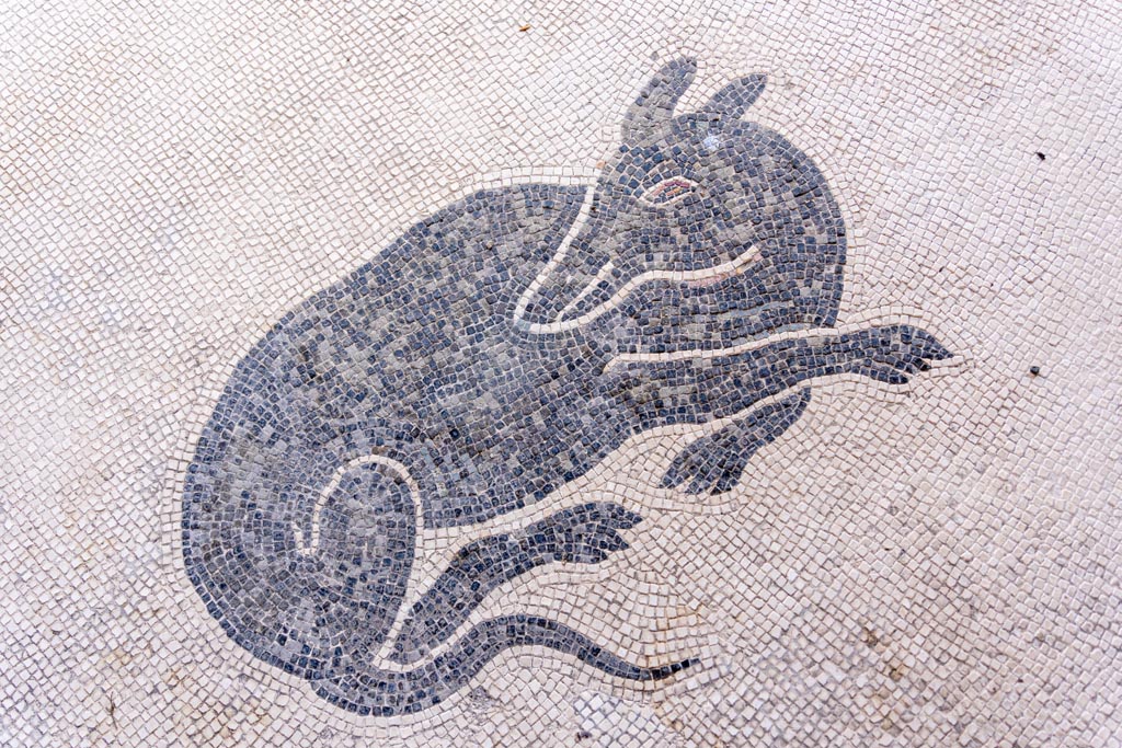 V.1.26 Pompeii. October 2023. Mosaic of dog, greeting visitors into vestibule. Photo courtesy of Johannes Eber.

