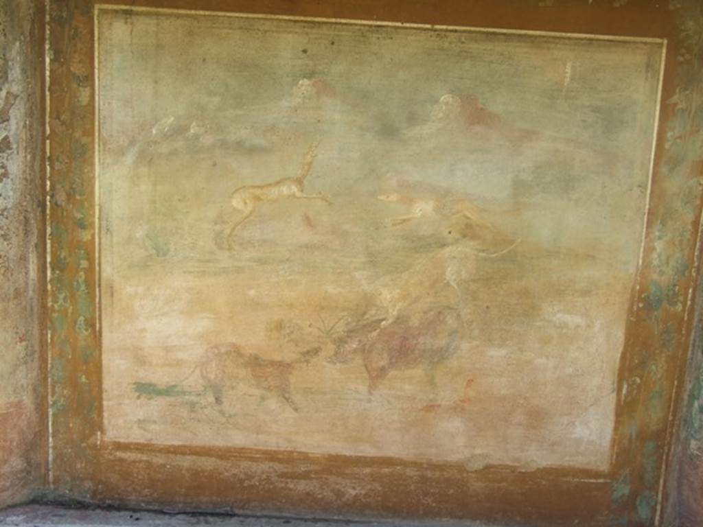 V.5.3 Pompeii. March 2009. Room 7, west side of peristyle in north-west corner. Painting 5  Animal painting showing a boar being attacked by two dogs. One dog was attacking him from the front, the other leaping onto him from behind.  In the background, another dog was attacking a deer. See Notizie degli Scavi di Antichit, 1899, p.349, number 5.



