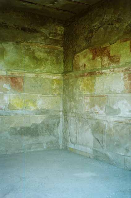 VI.2.4 Pompeii. June 2010. Painted plaster on outside wall of cubiculum, on the east side of the doorway.Photo courtesy of Rick Bauer.