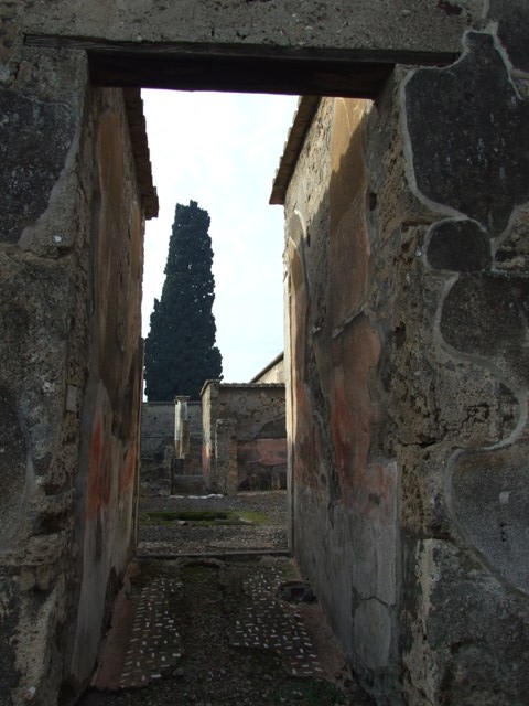 VI.2.22 Pompeii. September 2005. Looking west across impluvium.