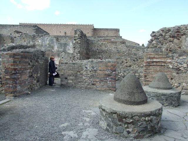 VI.3.3 Pompeii. March 2009. Room 8, North wall.