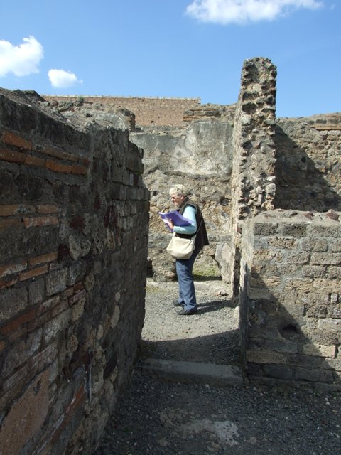 VI.3.3 Pompeii. September 2005. North wall of Room 8.