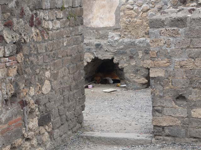 VI.3.3 Pompeii. September 2005. Trough or basin against west wall.