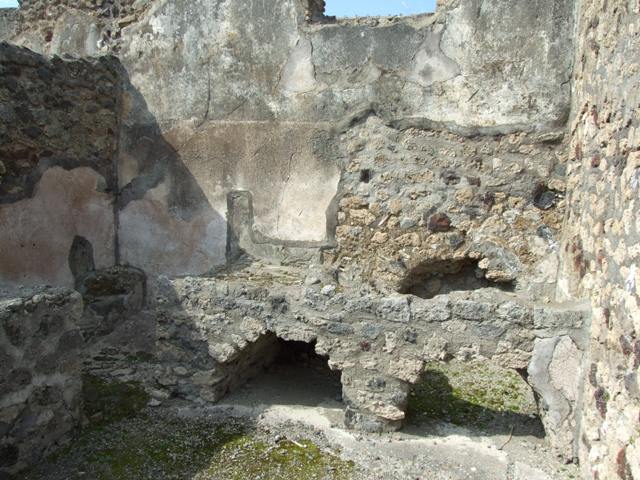 VI.3.3 Pompeii. March 2009. Room 9, Looking north.