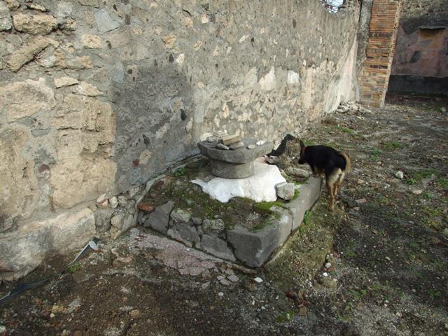 VI.5.5 Pompeii. December 2007. Floor mosaic in triclinium to the left behind the peristyle.