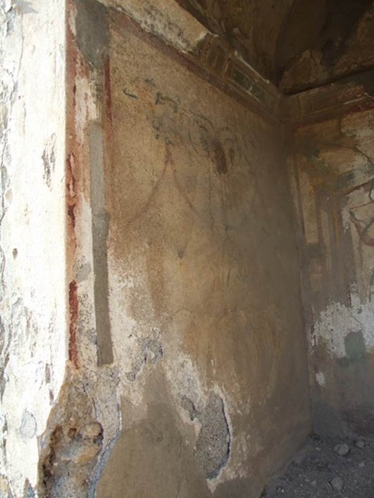VI.7.6 Pompeii.  March 2009.  West wall of Lararium, with painting of garlands, and remains of a serpent.