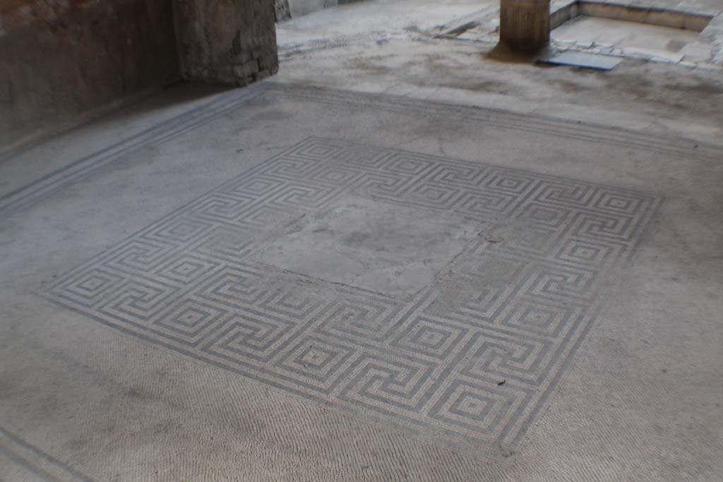 VI.8.3/5 Pompeii. March 2014. Room 6, tablinum with mosaic floor, linking VI.8.3 to VI.8.5.
Foto Annette Haug, ERC Grant 681269 DÉCOR.

