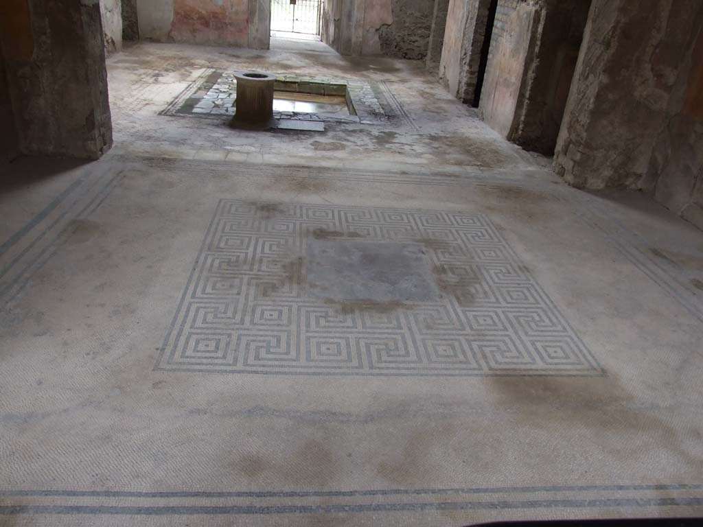 VI.8.3/5 Pompeii. March 2009. Room 6, tablinum with mosaic floor, linking VI.8.3 to VI.8.5. 
In the centre of the mosaic floor would have been the emblema, below (now in Naples Museum).
