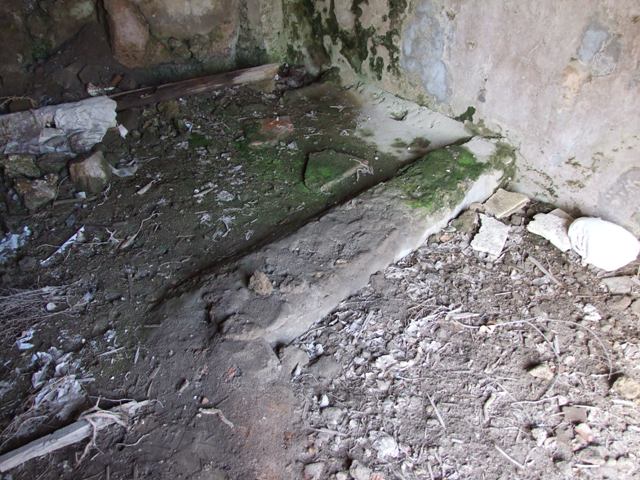 VI.8.20 Pompeii. March 2009. Room 19. North wall with vaulted ceiling.